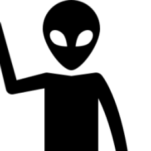Photo de Profil de gris
