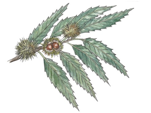 Group cover image